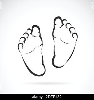 Vector image of Baby foot design on white background. Easy editable layered vector illustration. Stock Vector