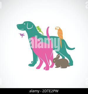 Vector group of pets - Dog, Cat, Parrot, Chameleon, Rabbit, Hummingbird isolated on white background., Animals set. Vector pets for your design. Easy Stock Vector