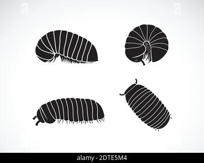 Vector of group of pill millipede worm(Oniscomorpha) isolated on a white background. Worm icon or logo., Glomerida. Insect. Animal. Stock Vector