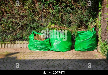 Three trash bags with garbage. Garbage sorting Stock Photo