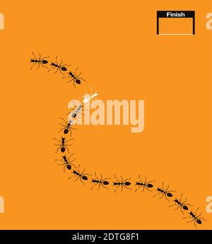Illustration of ants on a white background. Vector Stock Vector Image ...
