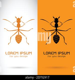 Vector image of a ant design on white background and orange background, Logo, Symbol Stock Vector