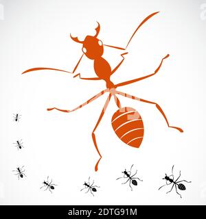 Vector of an ant on white background. Easy editable layered vector illustration. Stock Vector