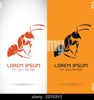 Vector image of a ant design on white background and orange background, Logo, Symbol Stock Vector