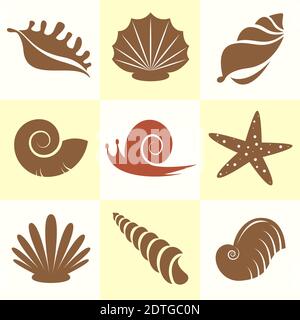 Vector collection of sea shells and snail. Easy editable layered vector illustration. Wild Animals. Stock Vector