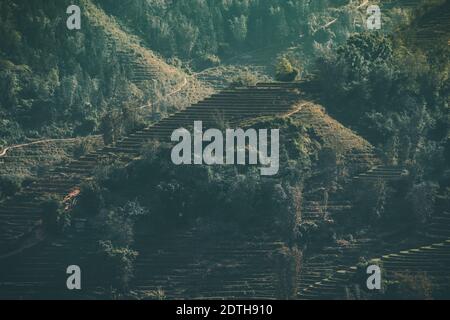 Dark and moody cinematic scenic of traditional terraced rice paddy in Lao Cai in Sa pa, Vietnam Stock Photo