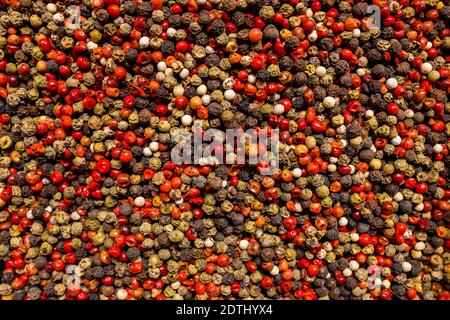 Mixed peppercorns close-up Stock Photo