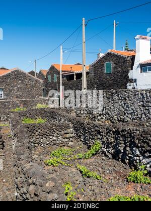 Village Cachorro on the northern coast, a traditional village of vintners.   Pico Island, an island in the Azores (Ilhas dos Acores) in the Atlantic o Stock Photo