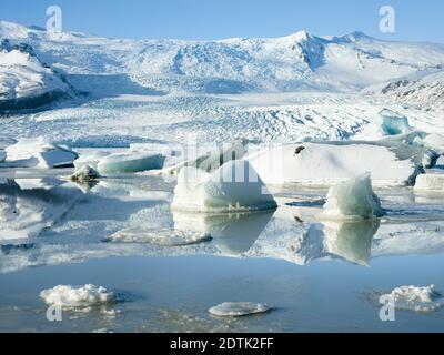 Glacier Fjallsjoekull and frozen glacial lake Fjallsarlon in Vatnajokull NP during winter. Europe, Northern Europe, Iceland, February Stock Photo