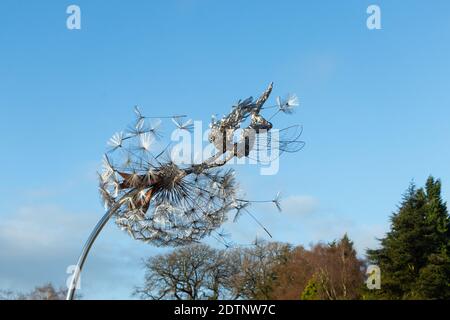 wire sculpture of fairy and dandelion clock in Trentham Gardens, Stoke on Trent Stock Photo