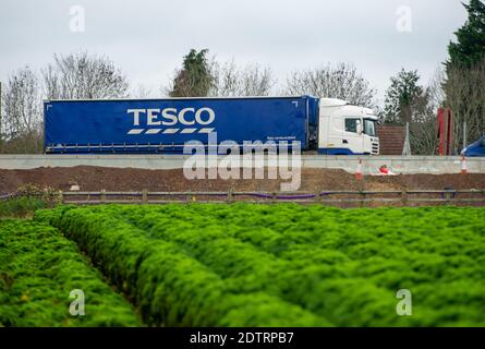 Dorney, UK. 22nd December, 2020. A Tesco HGV on the M4 today. Following the new Covid-19 variant in the South East of England, France have closed their channel ports to UK freight. Despite, this it was business as usual today as there were plenty of freight shipments still being transported on the M4. The action by Emmanuel Macron the President of France may lead to some temporary shortages of imported citrus fruit and vegetables from the EU, however, the French action appears to only be strengthening the campaign to buy British. Credit: Maureen McLean/Alamy Live News Stock Photo