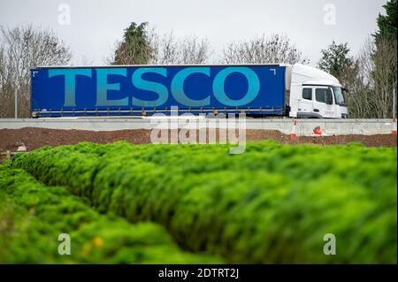 Dorney, UK. 22nd December, 2020. A Tesco HGV on the M4 today. Following the new Covid-19 variant in the South East of England, France have closed their channel ports to UK freight. Despite, this it was business as usual today as there were plenty of freight shipments still being transported on the M4. The action by Emmanuel Macron the President of France may lead to some temporary shortages of imported citrus fruit and vegetables from the EU. Tesco have issued a warning against customers panic buying today. Credit: Maureen McLean/Alamy Live News Stock Photo