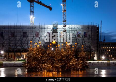 decorated Christmas trees on Roncalliplatz in front of the Dom Hotel under renovation during the Corona Pandemic, Cologne, Germany. There is usually a Stock Photo