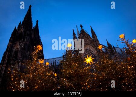 decorated Christmas trees on Roncalliplatz in front of the cathedral during the Corona Pandemic, Cologne, Germany. There is usually a big Christmas ma Stock Photo