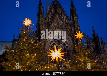 decorated Christmas trees on Roncalliplatz in front of the cathedral during the Corona Pandemic, Cologne, Germany. There is usually a big Christmas ma Stock Photo