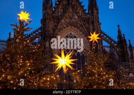 decorated Christmas trees on Roncalliplatz in front of the cathedral during the Corona Pandemic, Cologne, Germany. There is usually a big Christmas ma Stock Photo