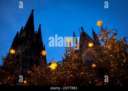 decorated Christmas trees on Roncalliplatz in front of the cathedral during the Corona Pandemic, Cologne, Germany. There is usually a big Christmas ma Stock Photo