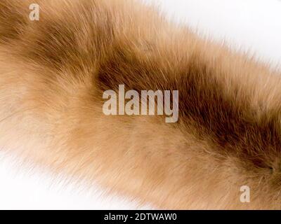The Fur background and texture. Stock Photo