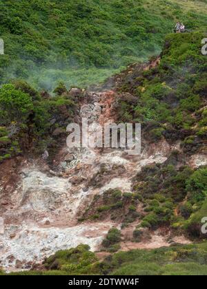 Island Of Steam (@SteamIsland) / X