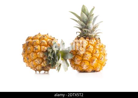 Ripe baby pineapple. Mini pineapple isolated on a white background. Stock Photo
