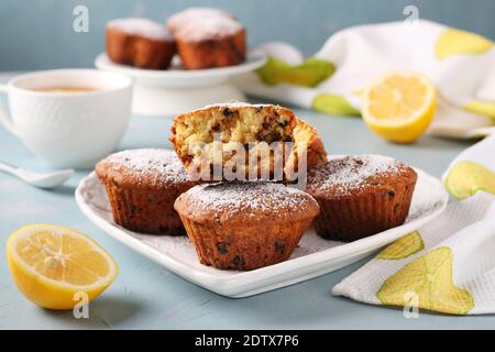 Homemade lemon muffins with chocolate on a white plate on a light blue background, Closeup Stock Photo