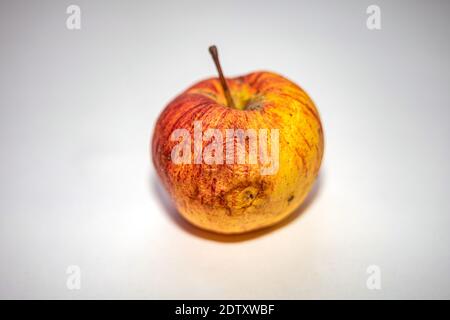 Natural Apple with flaws and fungal plaque. An old autumn Shriveled Apple. Selective soft focus Stock Photo