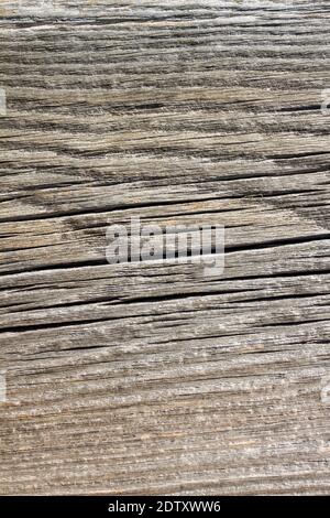 Natural wood background. Detailed graphic resource, freshly cut pine wood texture. Panoramic image in grunge style Stock Photo