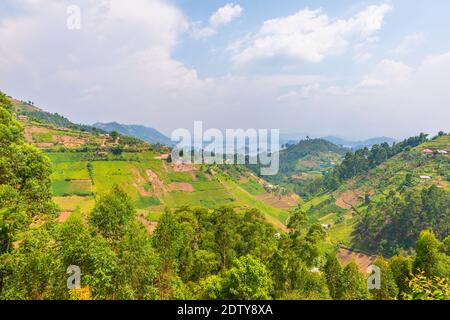 Agricultural terraces near Lake Mutanda in Uganda. Stock Photo