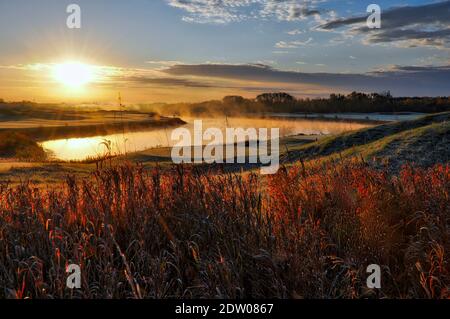 Sunrise in the golf club with migration bird Stock Photo