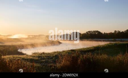 Sunrise in the golf club with mist and birds Stock Photo