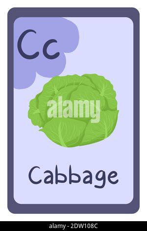 Education flash card abc, letter C - cabbage. Alphabet for game design. Primary school kids. Flat illustration with food, bakery, fruits, vegetables. Vector template. Stock Vector