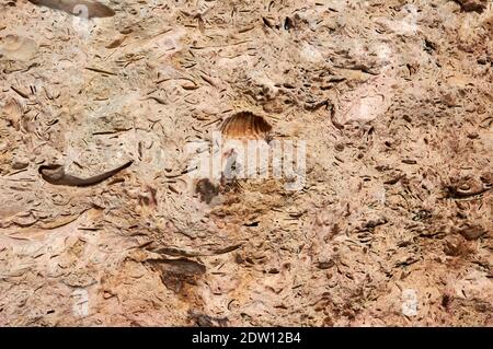 textured background, natural limestone copy space Stock Photo
