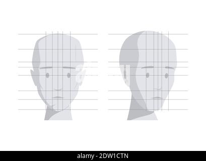 Model of human head in different angles vector flat illustration isolated on white background. Human face, face chart with proportions for draw learning. Face and head ideal proportions. Stock Vector