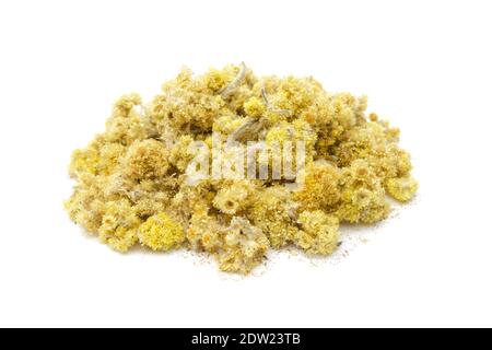 Pile of dried healthy Helichrysum arenarium flowers. Dry immortelle or dwarf everlast heap on white. Alternative medicine. Stock Photo