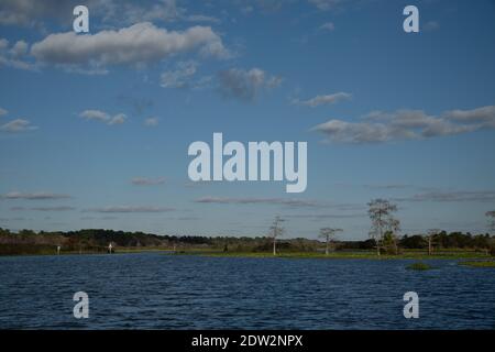 Lake Rousseau, Withlacoochee River in Citrus County Florida. A popular ...