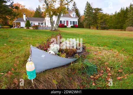 A small, grey, boat, canoe, re-purposed, recycled as a garden planter in a front yard, lawn of a house. In Surry, Maine. Stock Photo
