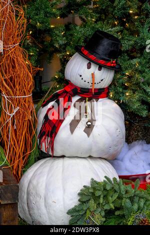White painted pumpkins, pumpkin snowman, Stock Photo