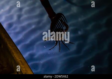 Spearfishing on Lake Hanama, Hamamatsu, Japan Stock Photo