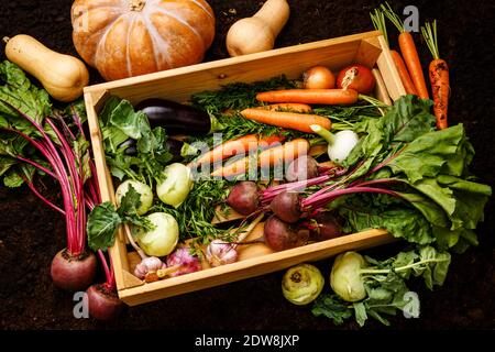 Healthy food Fresh raw vegetables in wooden box on black ground background Stock Photo