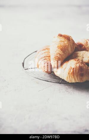 Fresh croissants on light grey concrete background, space for text Stock Photo