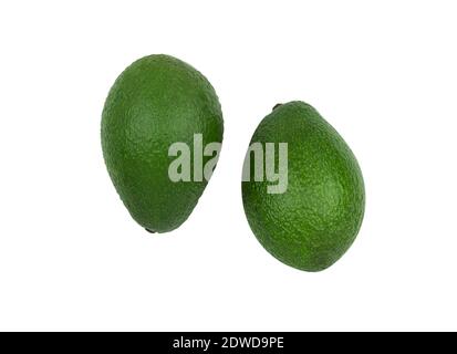 Two fresh and green avocados on white isolated background Stock Photo