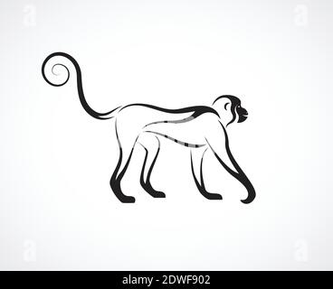 Vector of a monkey design on white background. Wild Animal. Easy editable layered vector illustration. Stock Vector