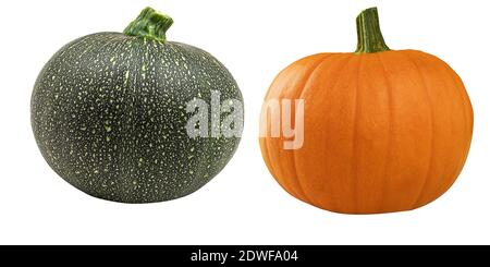 Two fresh pumpkins orange and green on a white background. Two small green and yellow ripe pumpkins isolated on white background Stock Photo