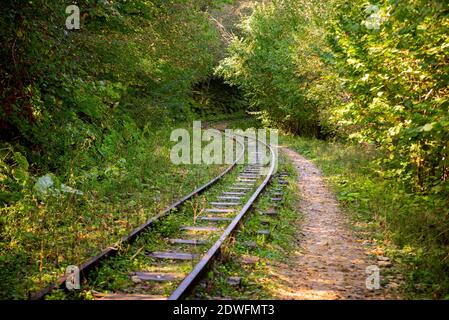 Abandoned railway in autumn mountain forest with foliar trees in Caucasus, Mezmay. Stock Photo