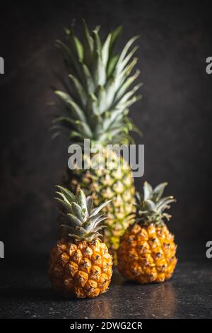 Ripe baby pineapple. Mini pineapple on black table. Stock Photo