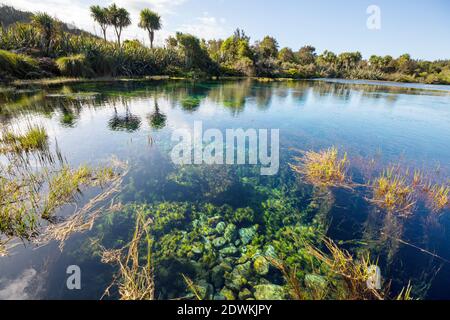 Unusual blue spring in New Zealand. Beautiful natural landscapes Stock Photo