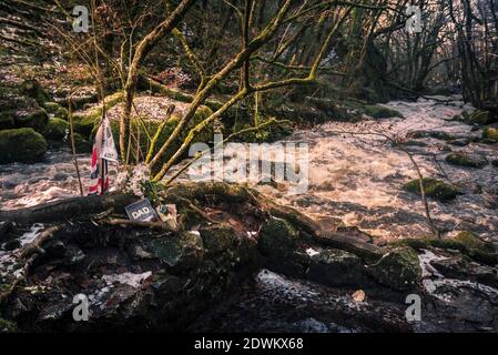 Late afternoon sunlight over a small memorial on the banks of the River Fowey as it flows along Golitha Falls in the historic and ancient woodland Dra Stock Photo