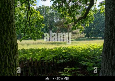 Characteristic stable for German moorland sheep with a straw roof  in the natural preserve Lueneburger Heide, germany Stock Photo