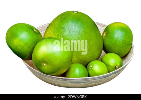 Isolated plate with green citruses fruits. Set of limes, pomelo, grapefruits on white background. Stock Photo