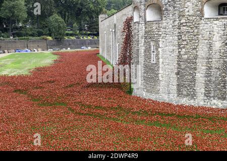 LONDON, UNITED KINGDOM - Aug 27, 2014: The wonderful poppies by Paul Cummins at the Tower of London. Stock Photo